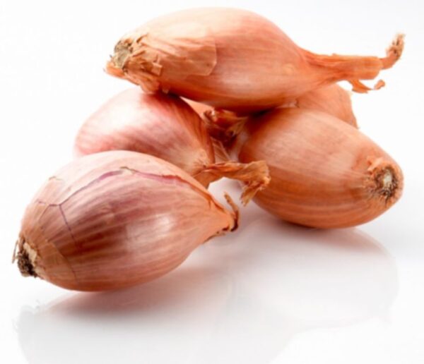 Løg Skalotte Gestus 400 GR.