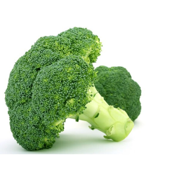 GE BROCCOLI ØKOLOGISK  stk. ca. 330gm