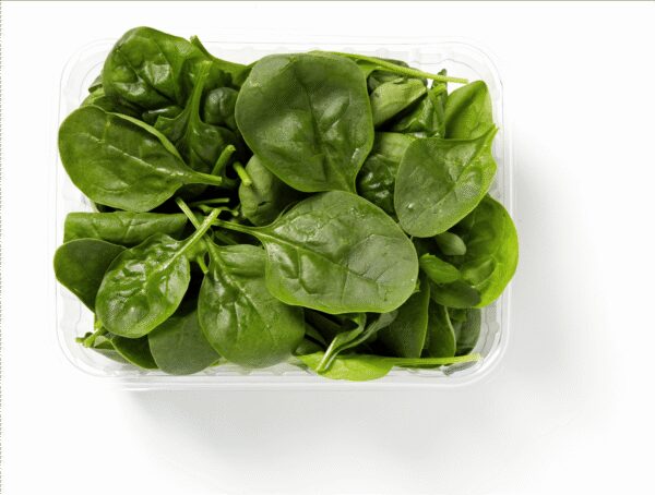ØKO SALAT BABY SPINAT (GB) 65 G