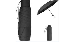 Taskeparaply, Pictura