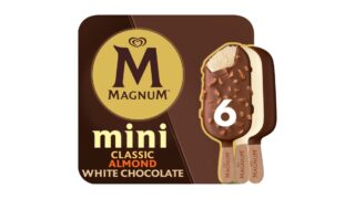 ❄️Ispinde mini Classic, Almond & White, Magnum