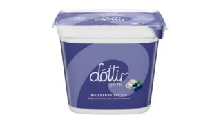 Skyr m. blåbær 0,2% 400 g, Dóttir