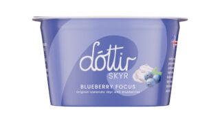 Skyr m. blåbær 0,2% 160 g, Dóttir
