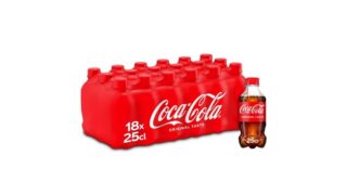 Coca-Cola 18x25 cl PET