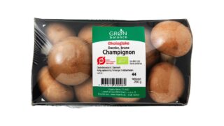 Champignon brune øko.