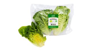 Hjertesalat øko.
