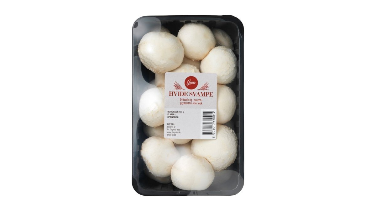 Champignon hvide
