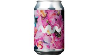 Øl m. Passionsfrugt & mango 4,3%, To øl