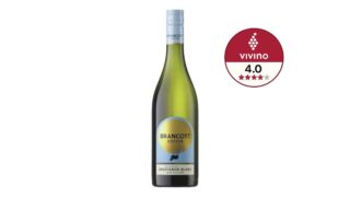Sauvignon Blanc 13%, Brancott