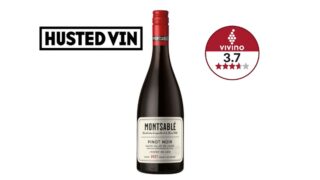 Pinot Noir 13%, Montsable