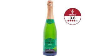 Cava Semi Seco 11,5% øko., Monistrol